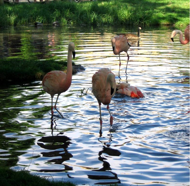 At The Calgary Zoo